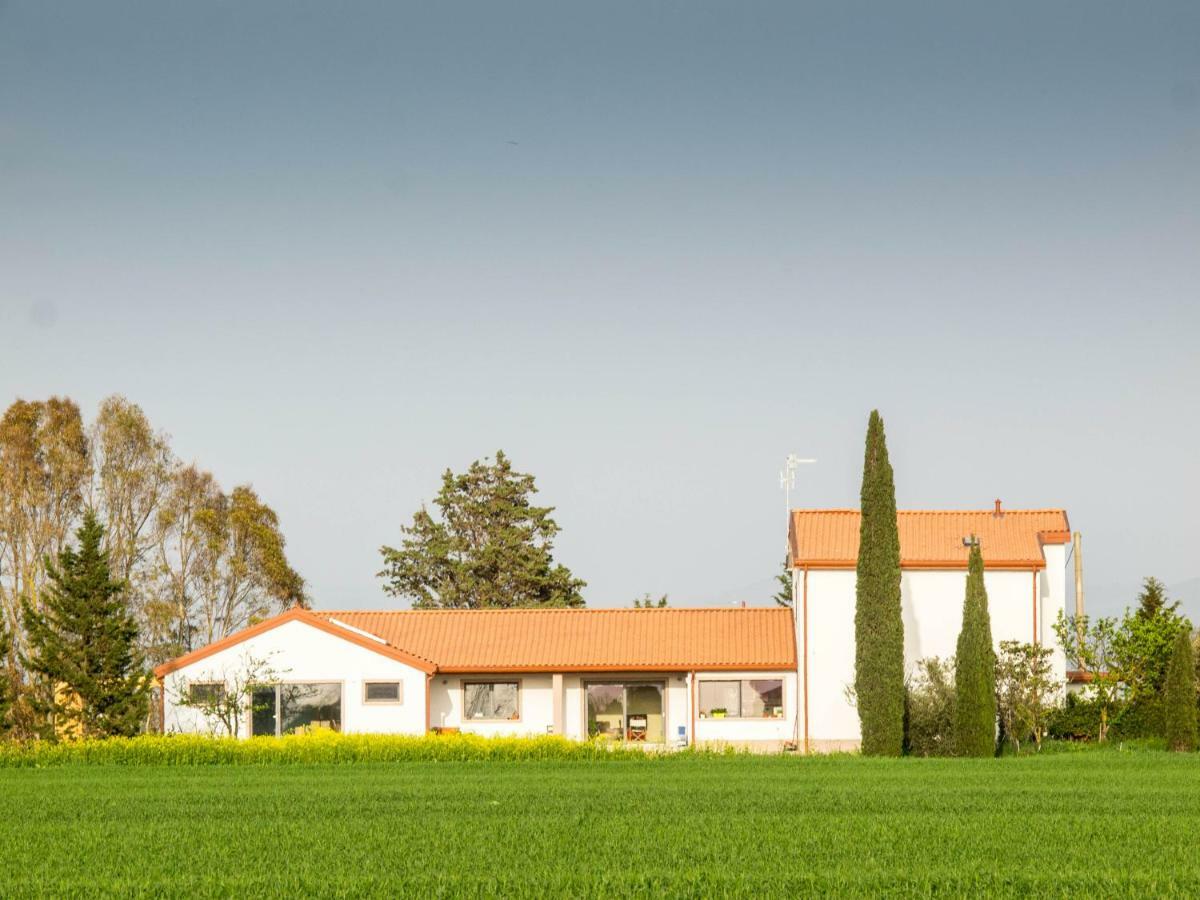 B&B Podere684 Grosseto Exteriör bild